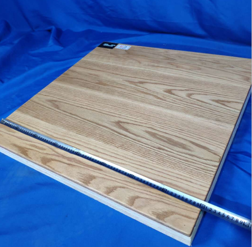 electric blast drying oven