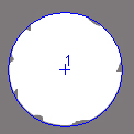 concora medium fluter