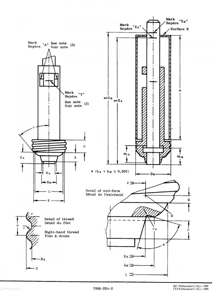 rapid head impulse test