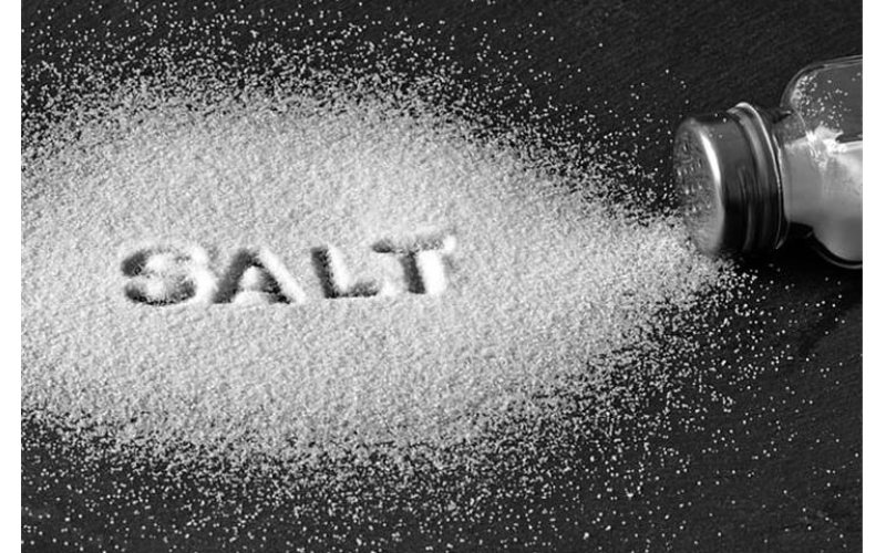 The Essential Aspects of Salt Spray Test Apparatus