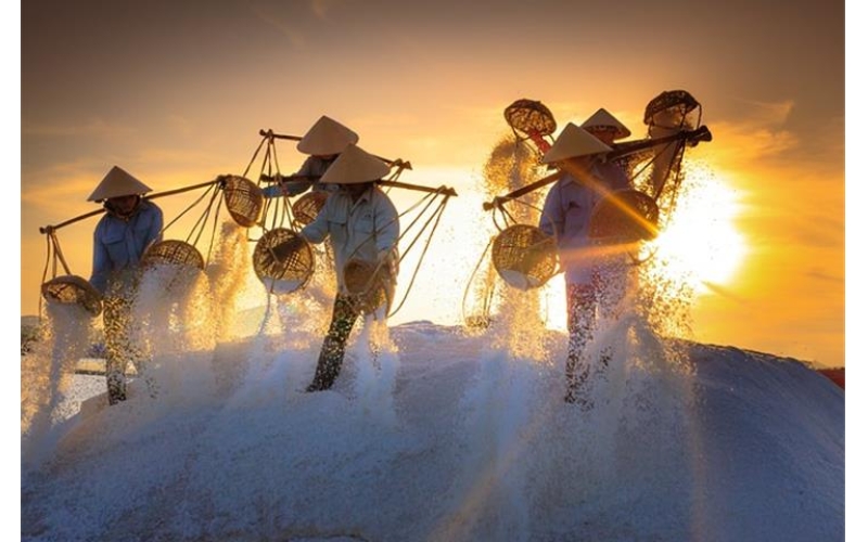 The Why Behind Salt Spray Equipment Factory Innovations