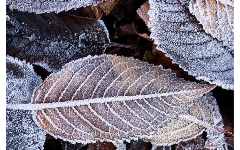 The Significance of Constant Temperature and Humidity Chambers